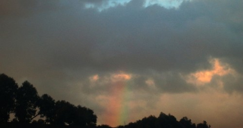 Annadale Rainbow
